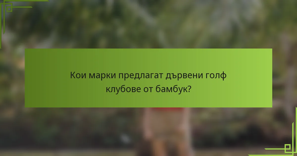 Кои марки предлагат дървени голф клубове от бамбук?